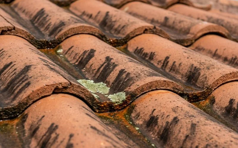 Close-up of a barrel tile roof in Cape Coral showing the dark vertical streaks of Gloeocapsa magma before treatment.